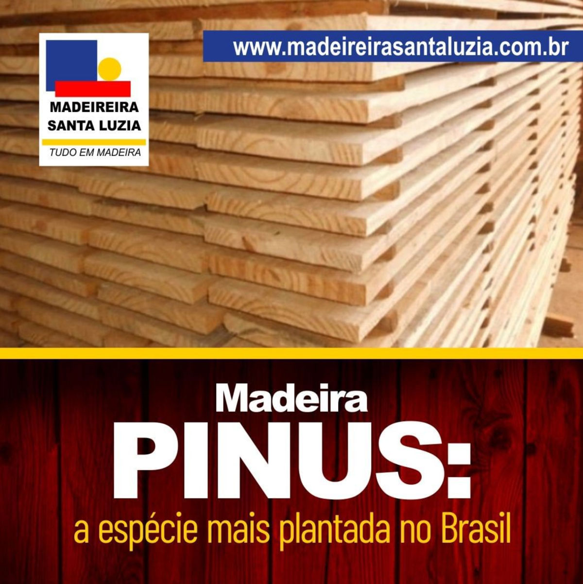 Madeira Pinus