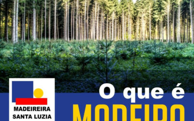 O que é madeira de Reflorestamento?