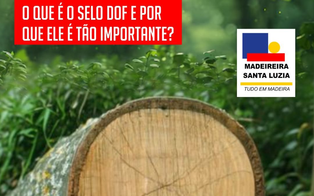 Certificações Ambientais: O que é o selo DOF e por que ele é tão importante?