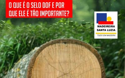 Certificações Ambientais: O que é o selo DOF e por que ele é tão importante?