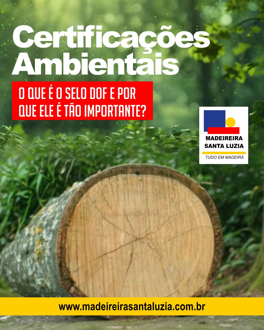 Certificações Ambientais: O que é o selo DOF e por que ele é tão importante?